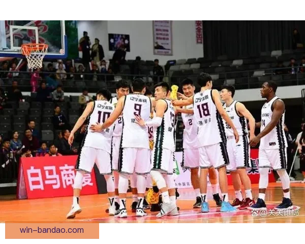 辽宁官宣注册莱迪并表态球队感谢布罗金顿今早离队